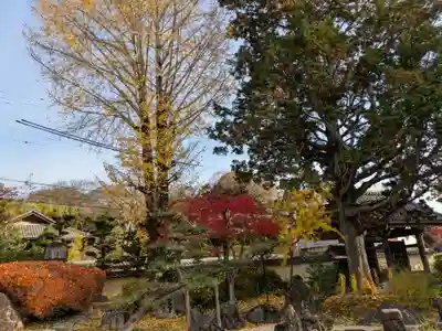 祐国寺(岐阜県)