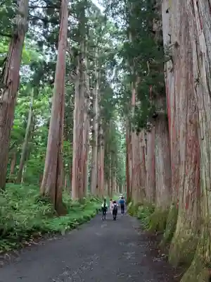 戸隠神社奥社(長野県)