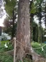 下宿八幡神社の庭園