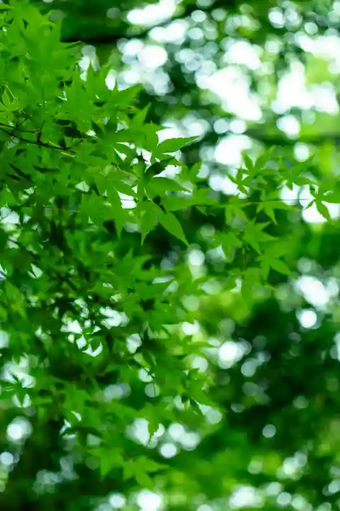 新田神社(鹿児島県)