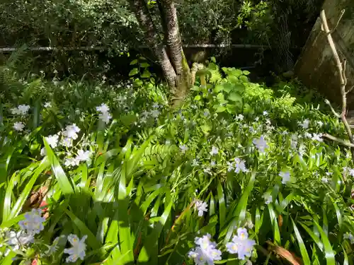 談山神社(奈良県)