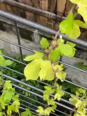 伊勢の国 四天王寺の庭園