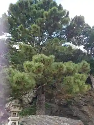 玉津島神社(和歌山県)