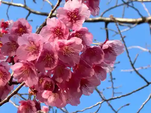 荏原神社(東京都)