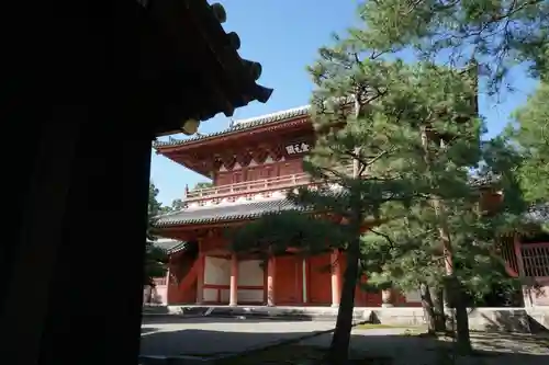 大徳寺の本殿・本堂