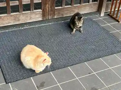 唐澤山神社(栃木県)