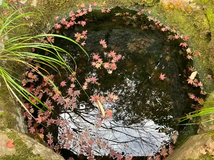 井山 宝福寺(岡山県)