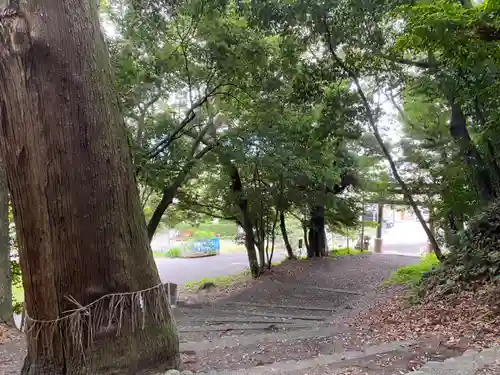 青山八幡宮(静岡県)