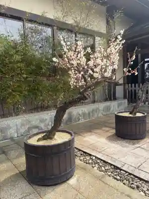 岩津天満宮(愛知県)