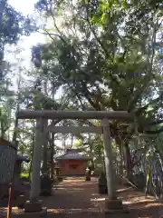 御船神社の鳥居