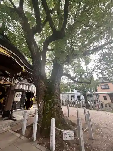 石津神社(大阪府)