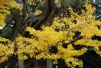 忌宮神社(山口県)