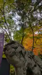 鍬山神社(京都府)