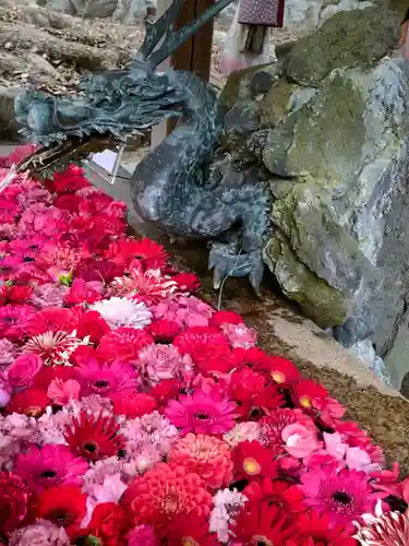 清洲山王宮　日吉神社の手水舎