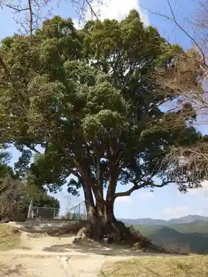 サムハラ神社 奥の宮(岡山県)
