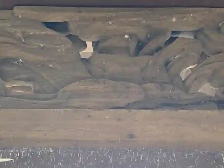 小山御坊照願寺の芸術