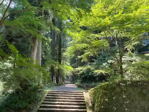 最乗寺（道了尊）(神奈川県)