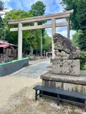 出雲伊波比神社(埼玉県)