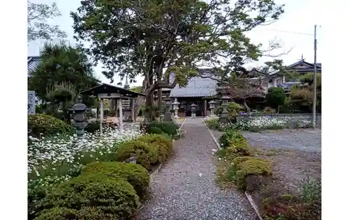 薬王寺の庭園