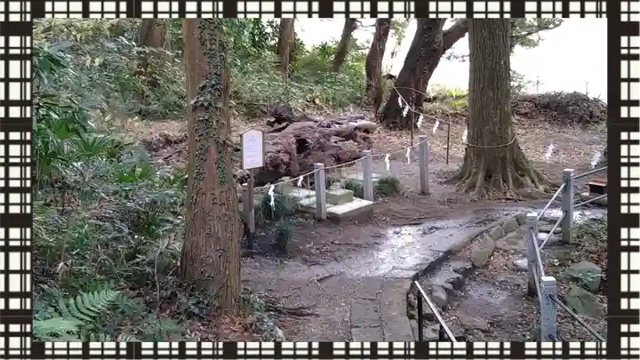 泉神社(茨城県)