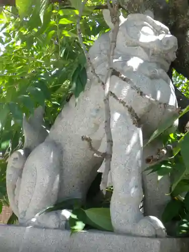 菅大臣神社の狛犬