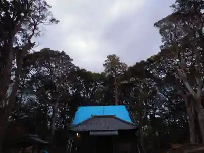 八王子神社の本殿・本堂