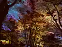 土津神社|こどもと出世の神さまの自然