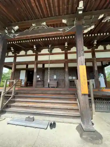 般若寺 ❁﻿コスモス寺❁(奈良県)