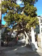 荏柄天神社(神奈川県)