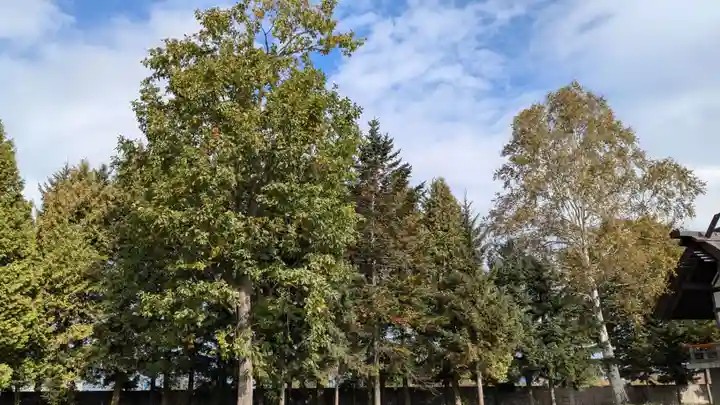 風連神社の自然