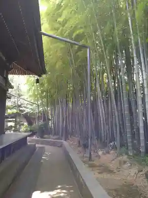 妙法寺（おおくら大佛）(東京都)