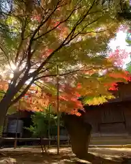 滑川神社 - 仕事と子どもの守り神(福島県)