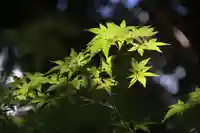 滑川神社 - 仕事と子どもの守り神の自然