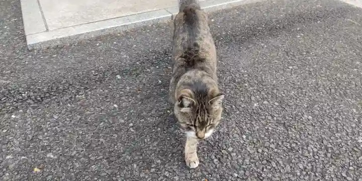 白金氷川神社(東京都)