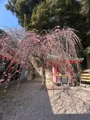 赤間神宮の{uncategorized: "未分類", other: "その他", undefined: "問題あり", building: "その他建物", grave: "お墓", sacred_gate: "鳥居", guardian: "狛犬", statue: "像", buddha: "仏像", history: "歴史", nature: "自然", garden: "庭園", animal: "動物", pagoda: "塔", temizu: "手水舎", mountain_gate: "山門・神門", sanctuary: "本殿・本堂", subordinate: "末社・摂社", art: "芸術", scenery: "景色", jizo: "地蔵", ema: "絵馬", goshuin: "御朱印", omikuji: "おみくじ", items: "授与品その他", amulet: "お守り", goshuincho: "御朱印帳", eats: "食事", festival: "お祭り", votive_dance: "神楽", shichigosan: "七五三参", wedding: "結婚式", experience: "体験その他", initially: "初詣", around: "周辺", anti_infection: "感染症対策"}