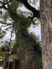 晴明神社(京都府)