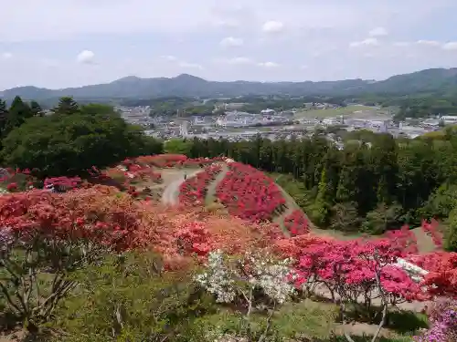 正福寺の自然