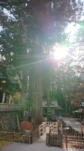 三峯神社のその他建物