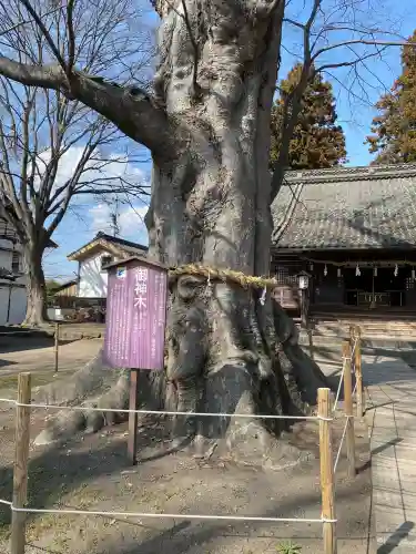 白鳥神社の{uncategorized: "未分類", other: "その他", undefined: "問題あり", building: "その他建物", grave: "お墓", sacred_gate: "鳥居", guardian: "狛犬", statue: "像", buddha: "仏像", history: "歴史", nature: "自然", garden: "庭園", animal: "動物", pagoda: "塔", temizu: "手水舎", mountain_gate: "山門・神門", sanctuary: "本殿・本堂", subordinate: "末社・摂社", art: "芸術", scenery: "景色", jizo: "地蔵", ema: "絵馬", goshuin: "御朱印", omikuji: "おみくじ", items: "授与品その他", amulet: "お守り", goshuincho: "御朱印帳", eats: "食事", festival: "お祭り", votive_dance: "神楽", shichigosan: "七五三参", wedding: "結婚式", experience: "体験その他", initially: "初詣", around: "周辺", anti_infection: "感染症対策"}
