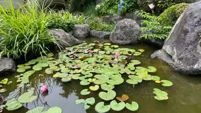 眞珠院(静岡県)