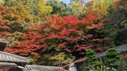 山科聖天 雙林院（双林院）　(京都府)