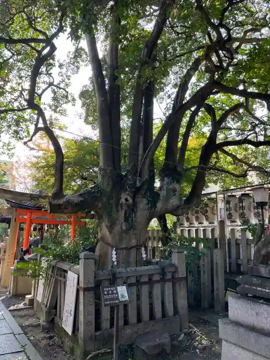 満足稲荷神社(京都府)