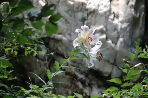 鹿島大神宮の庭園