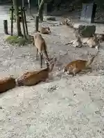 四宮神社(広島県)