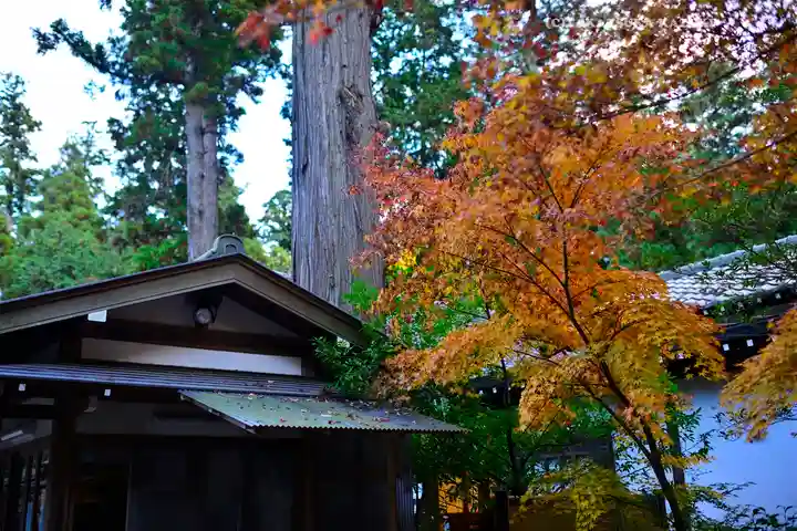 円覚寺(神奈川県)