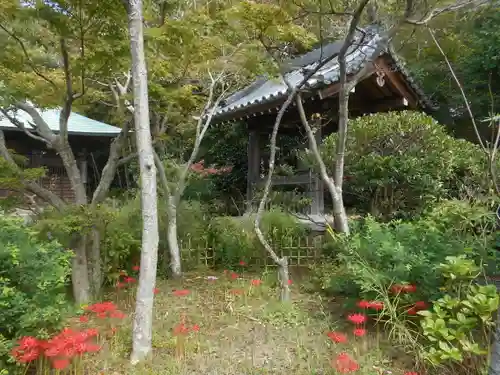 浄光明寺の庭園