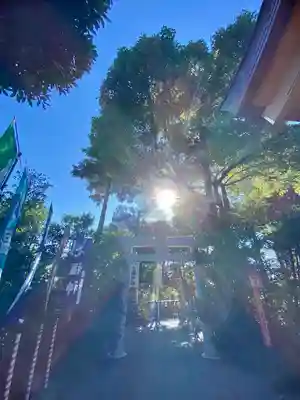 亀ケ池八幡宮のその他建物