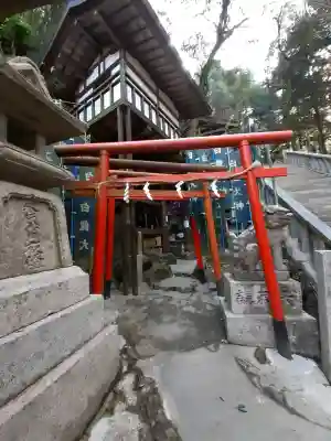 天照大神高座神社の{uncategorized: "未分類", other: "その他", undefined: "問題あり", building: "その他建物", grave: "お墓", sacred_gate: "鳥居", guardian: "狛犬", statue: "像", buddha: "仏像", history: "歴史", nature: "自然", garden: "庭園", animal: "動物", pagoda: "塔", temizu: "手水舎", mountain_gate: "山門・神門", sanctuary: "本殿・本堂", subordinate: "末社・摂社", art: "芸術", scenery: "景色", jizo: "地蔵", ema: "絵馬", goshuin: "御朱印", omikuji: "おみくじ", items: "授与品その他", amulet: "お守り", goshuincho: "御朱印帳", eats: "食事", festival: "お祭り", votive_dance: "神楽", shichigosan: "七五三参", wedding: "結婚式", experience: "体験その他", initially: "初詣", around: "周辺", anti_infection: "感染症対策"}