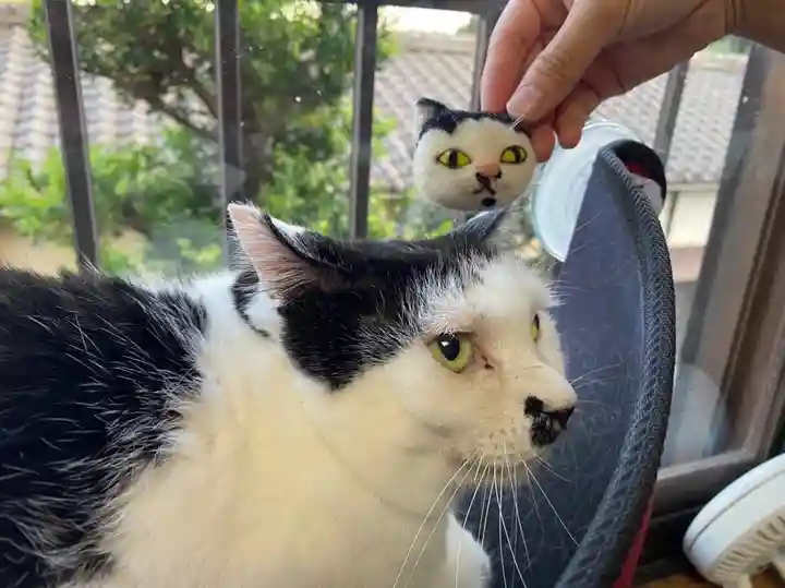東海市熊野神社の動物