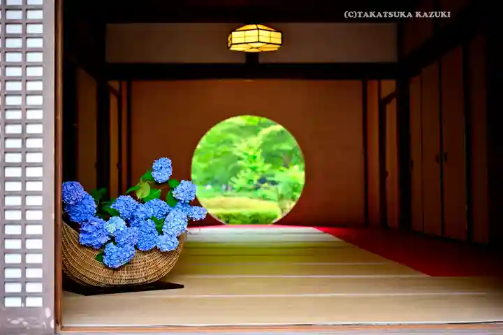 明月院(神奈川県)